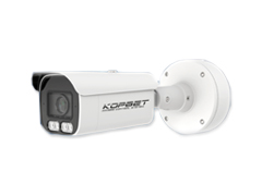 IP surveillance cameras